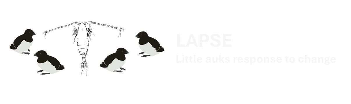 LAPSE